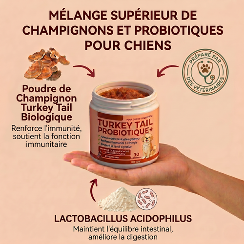 Turkey Tail Probiotique™+