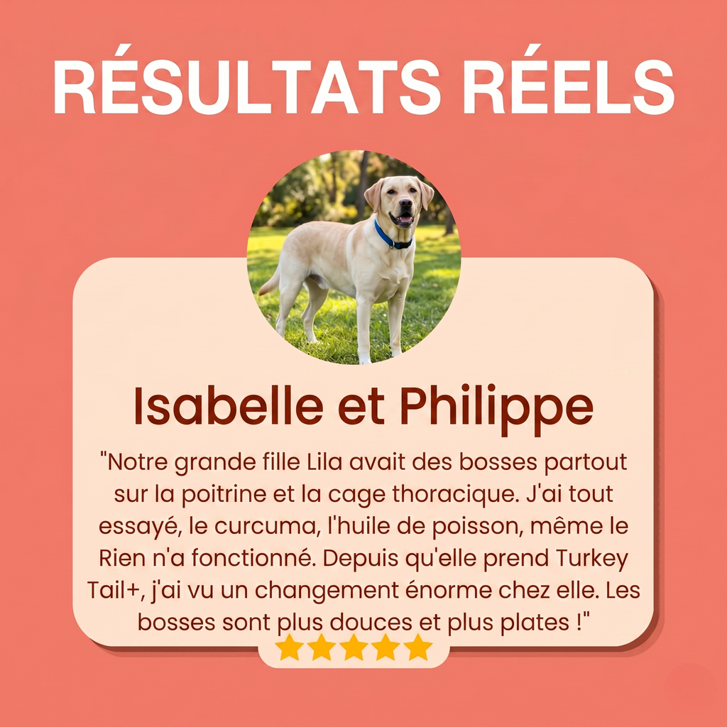 Turkey Tail Probiotique™+