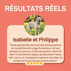 Turkey Tail Probiotique™+