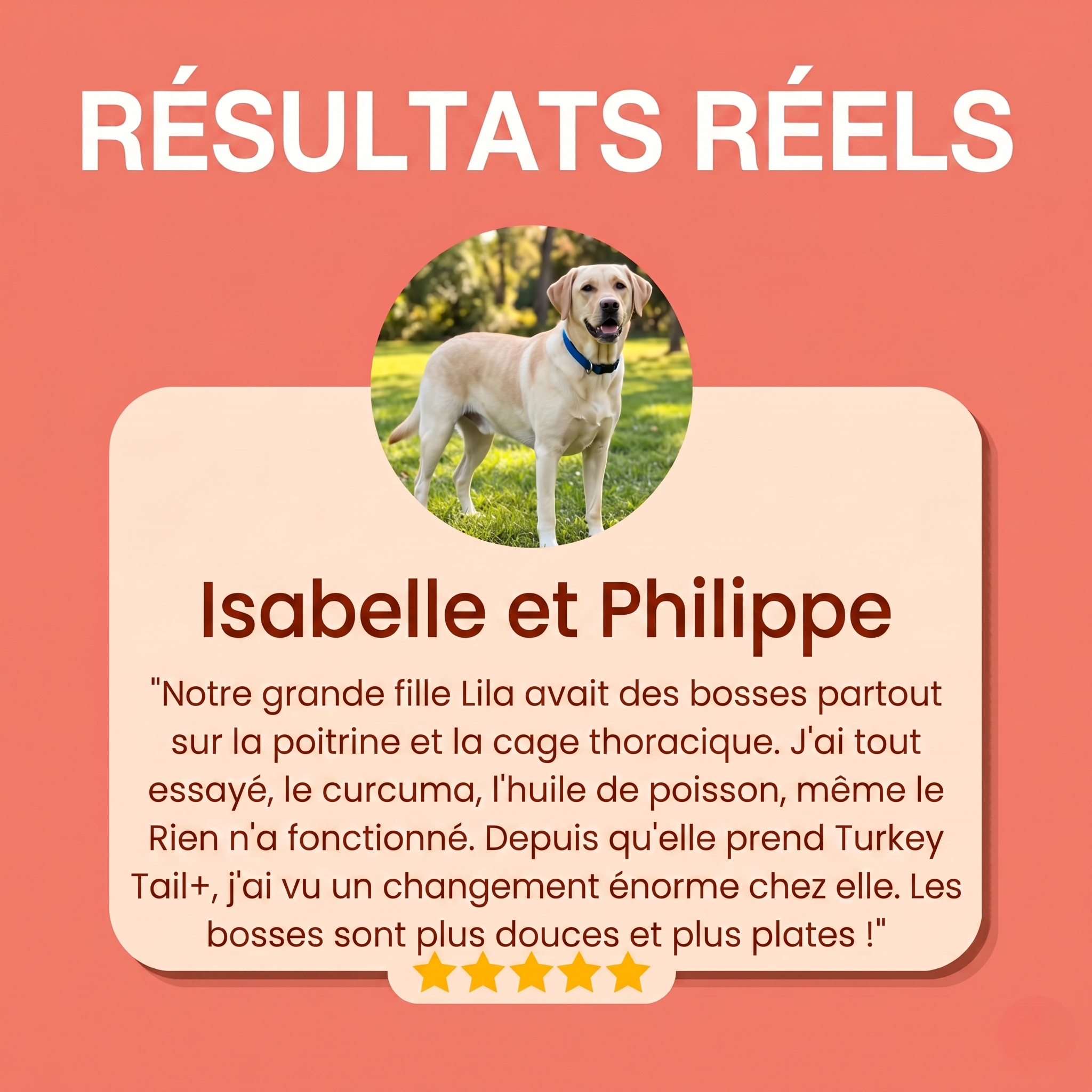 Turkey Tail Probiotique™+